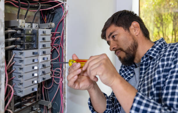 Best Electric Panel Repair  in Cumming, GA